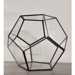 Black 25cm Polygon Terrarium