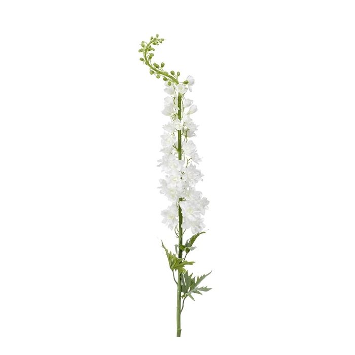 Delphinium XL Spray White 130cm