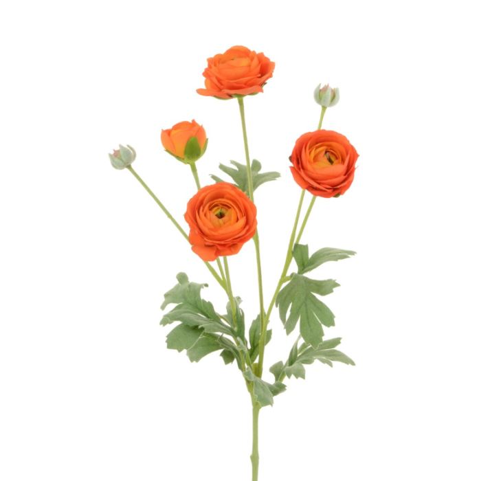 Ranunculus Spray 67cm Orange