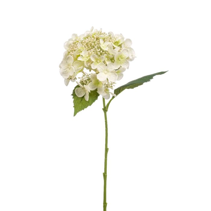 Hydrangea Spray White 50cm